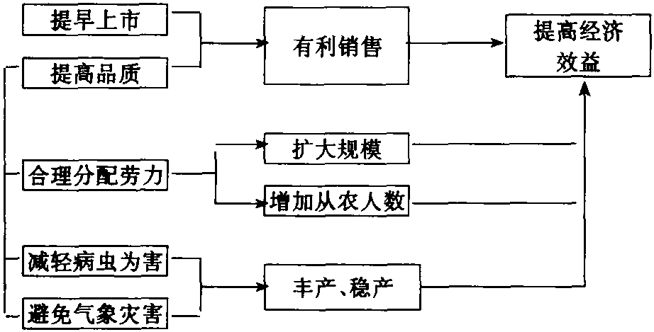 一、設(shè)施栽培的意義